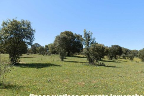 600_fincas-en-venta-011