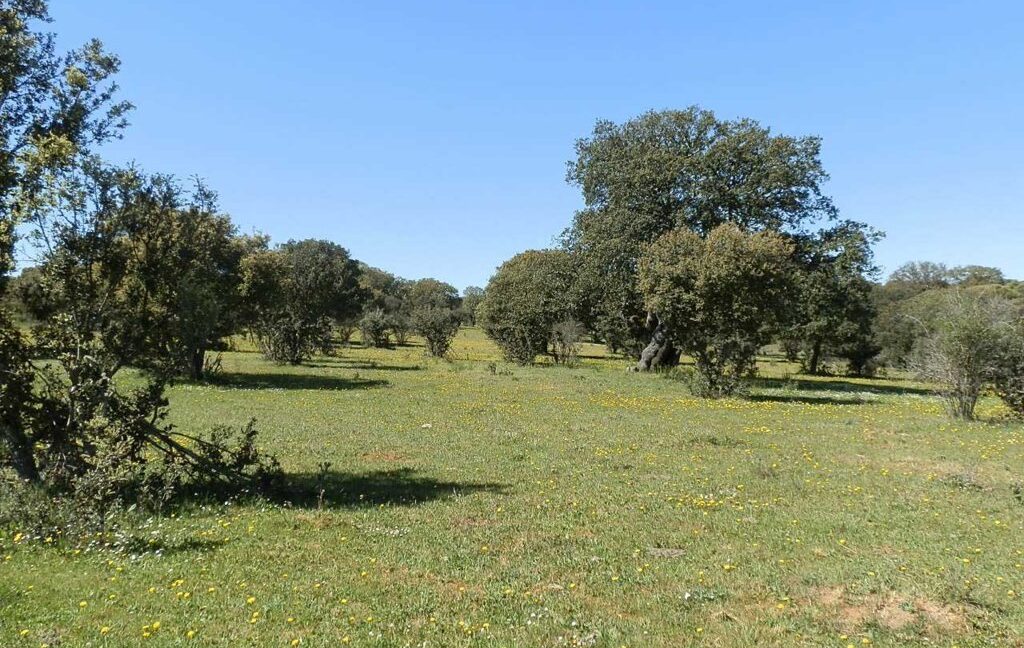 600_fincas-en-venta-013