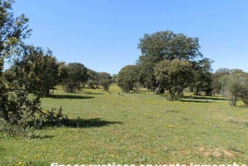 600_fincas-en-venta-013