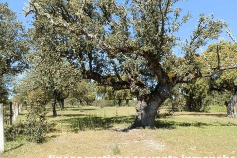 600_fincas-en-venta-016