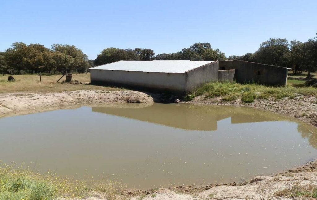 600_fincas-en-venta-017