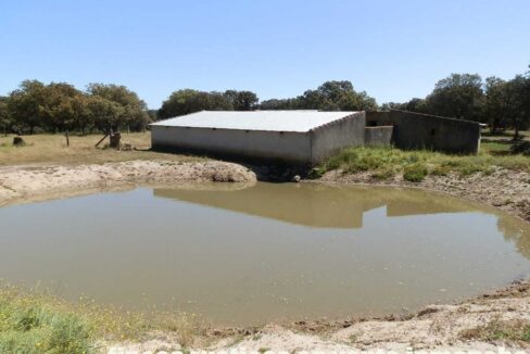 600_fincas-en-venta-017