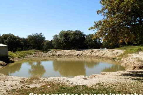 600_fincas-en-venta-020