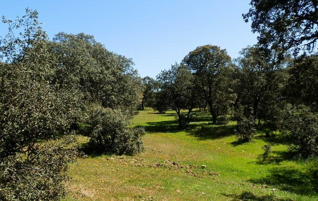 600_fincas-en-venta-027