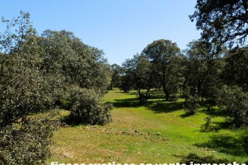 600_fincas-en-venta-027
