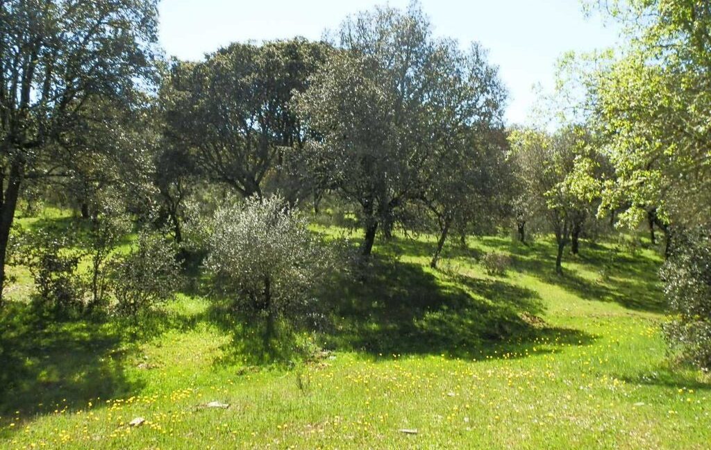 600_fincas-en-venta-028