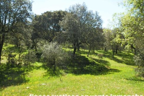 600_fincas-en-venta-028