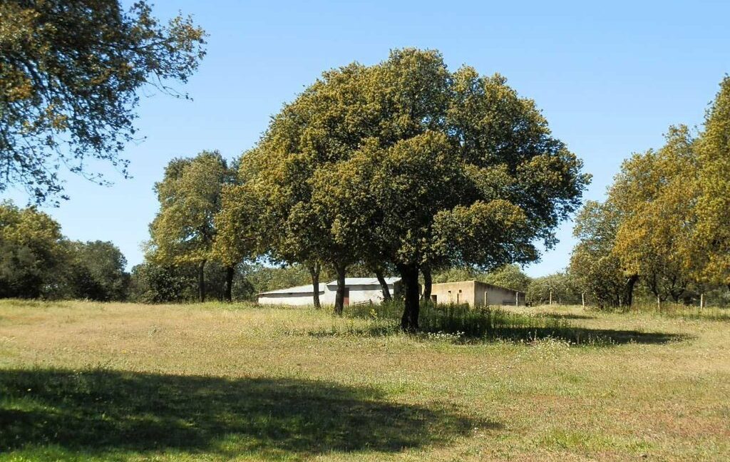 600_fincas-en-venta-030