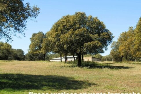 600_fincas-en-venta-030