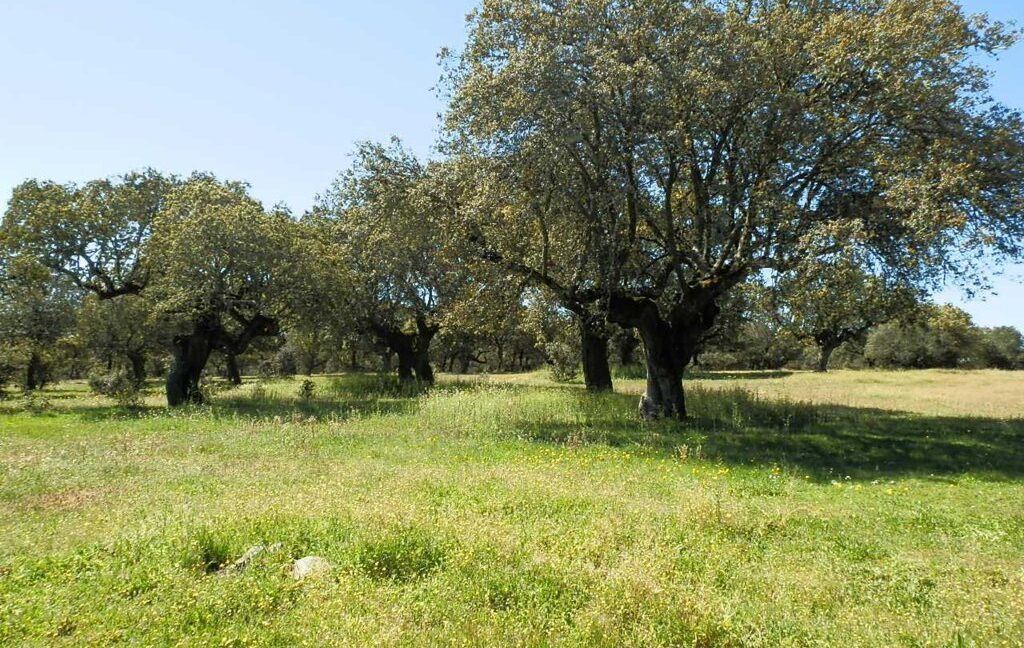 600_fincas-en-venta-031
