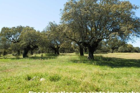 600_fincas-en-venta-031