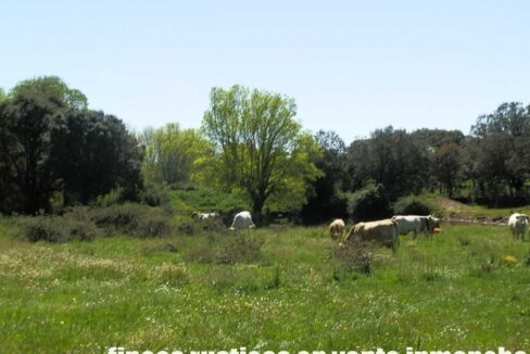 600_fincas-en-venta-036