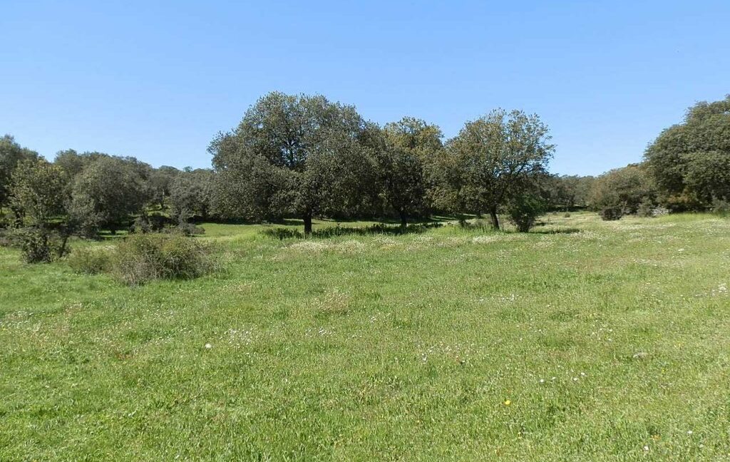 600_fincas-en-venta-037