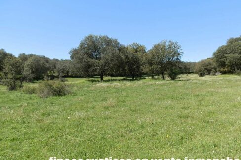 600_fincas-en-venta-037