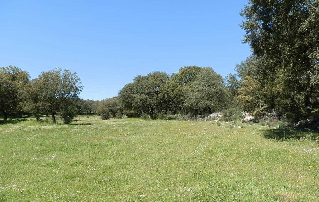 600_fincas-en-venta-038