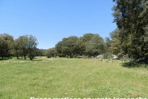 600_fincas-en-venta-038