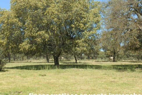 600_fincas-en-venta-039