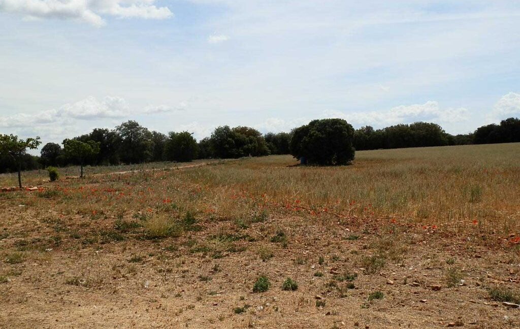 603_fincas-en-venta-004