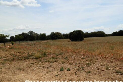 603_fincas-en-venta-004