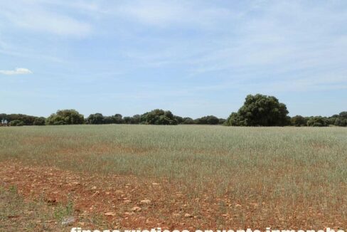 603_fincas-en-venta-013
