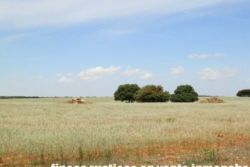 603_fincas-en-venta-020