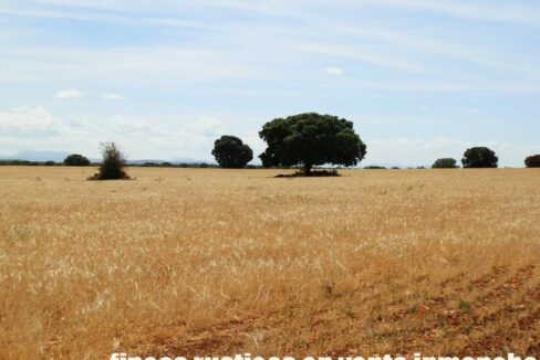 603_fincas-en-venta-022