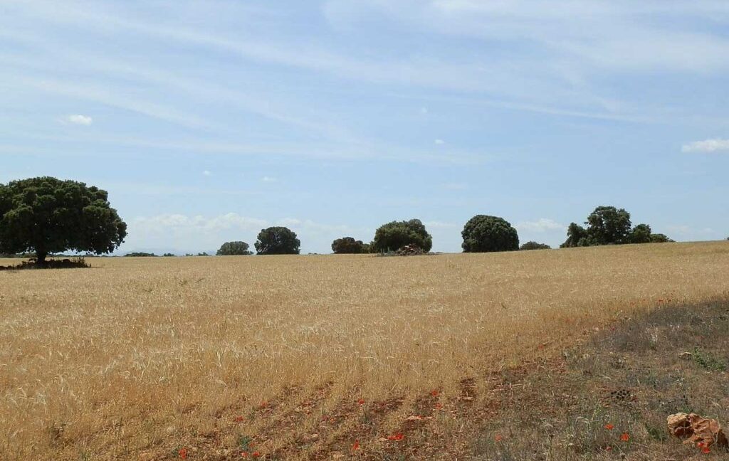 603_fincas-en-venta-023
