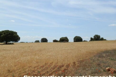 603_fincas-en-venta-023