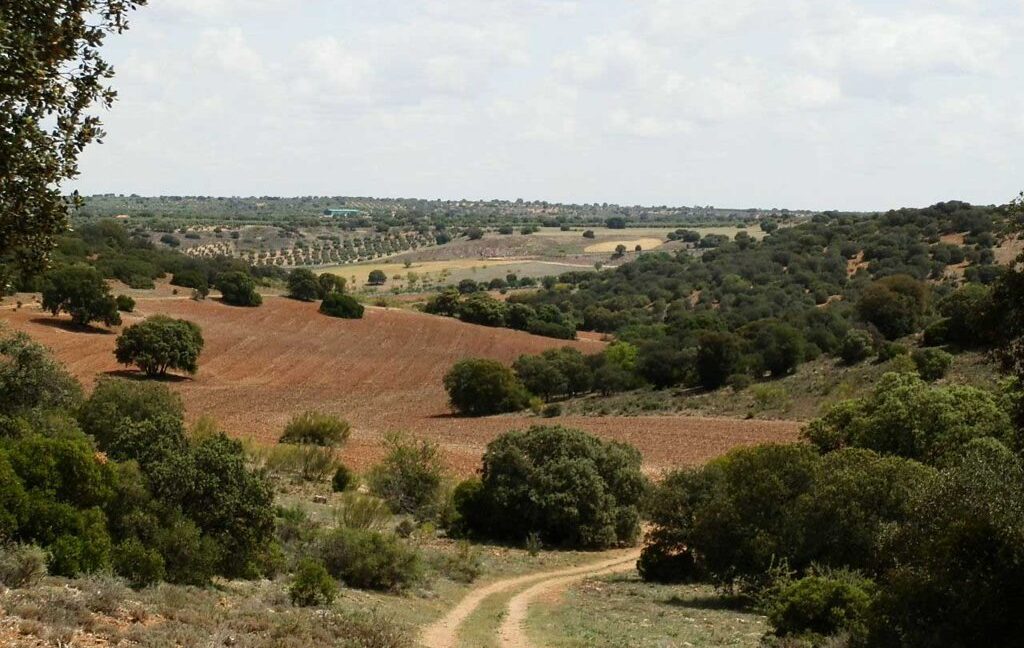 603_fincas-en-venta-032