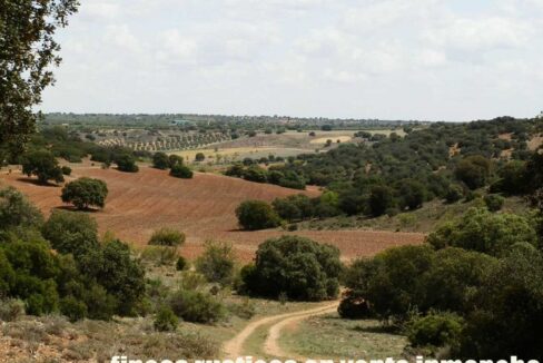 603_fincas-en-venta-032
