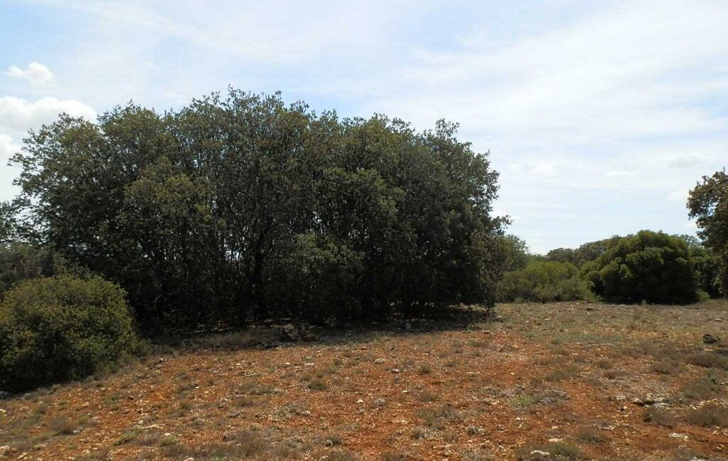 603_fincas-en-venta-034