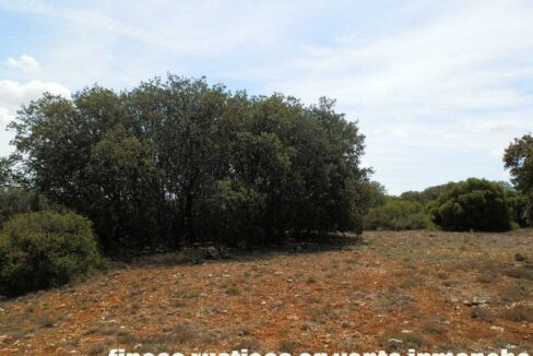 603_fincas-en-venta-034