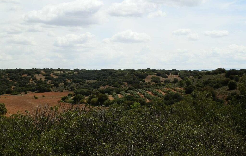 603_fincas-en-venta-035