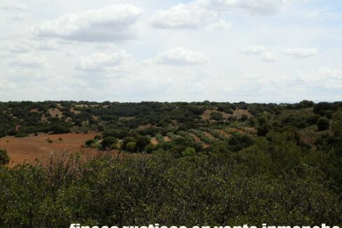 603_fincas-en-venta-035