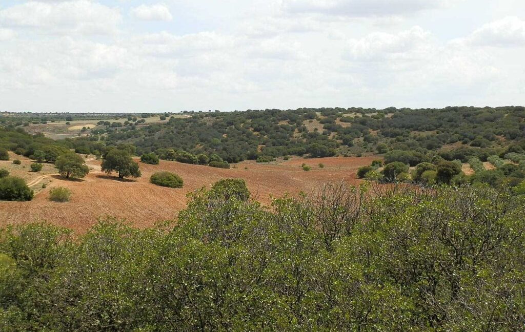 603_fincas-en-venta-036
