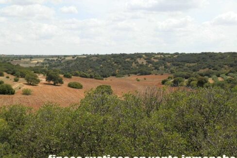 603_fincas-en-venta-036