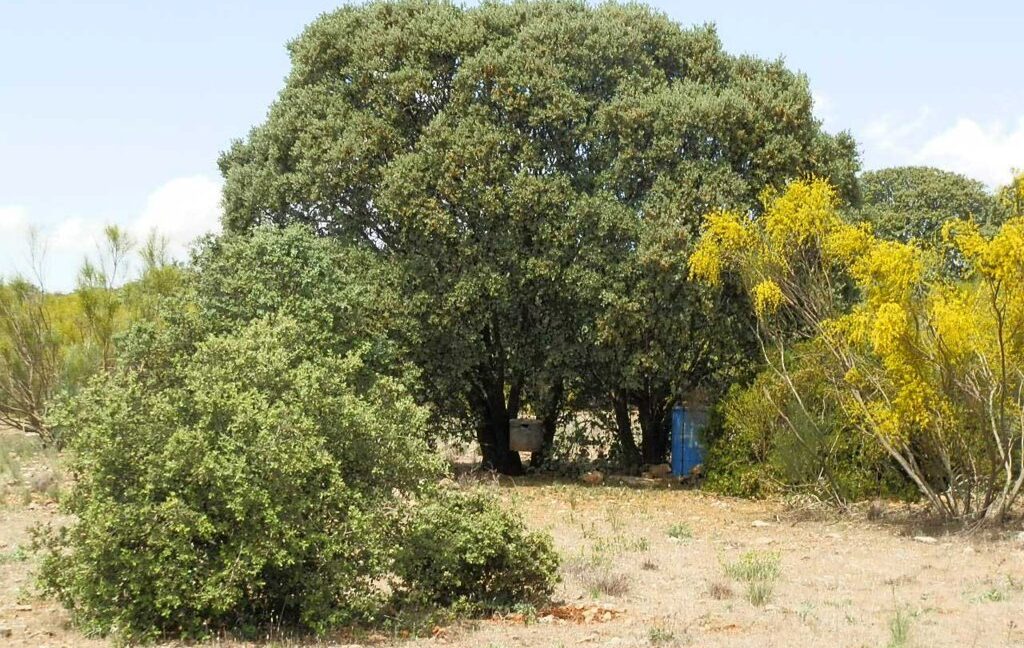 603_fincas-en-venta-037