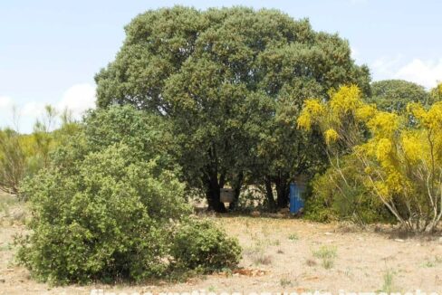 603_fincas-en-venta-037
