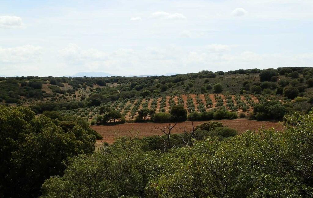 603_fincas-en-venta-038