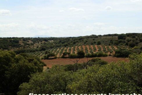 603_fincas-en-venta-038