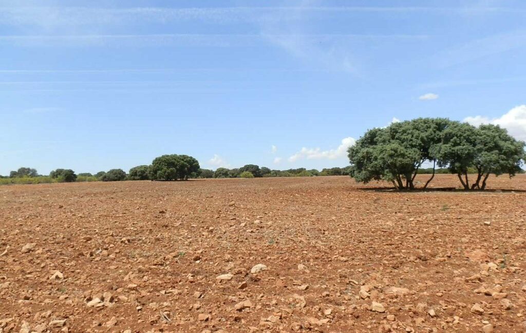 603_fincas-en-venta-041