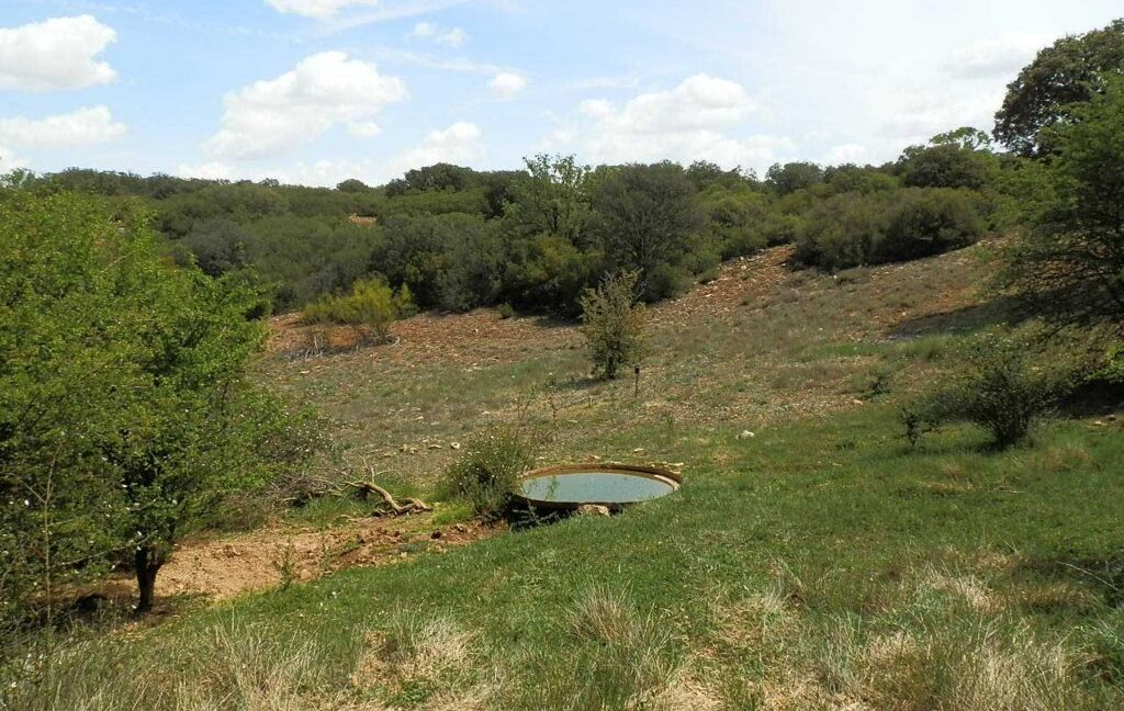 603_fincas-en-venta-042