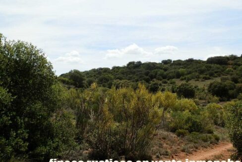 603_fincas-en-venta-043