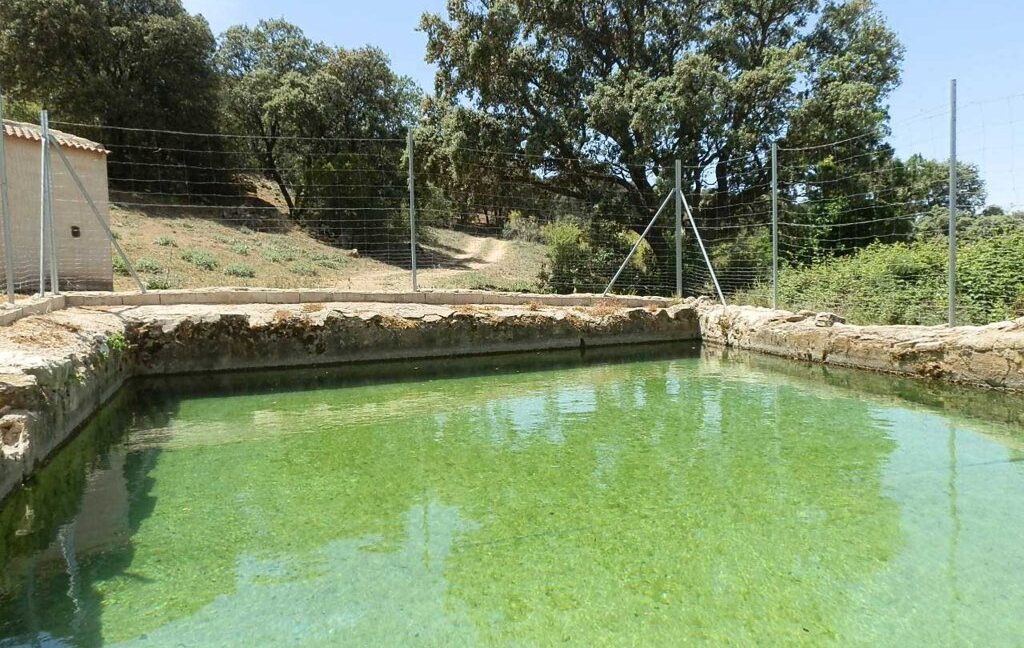 603_fincas-en-venta-051