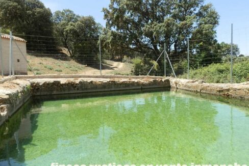 603_fincas-en-venta-051