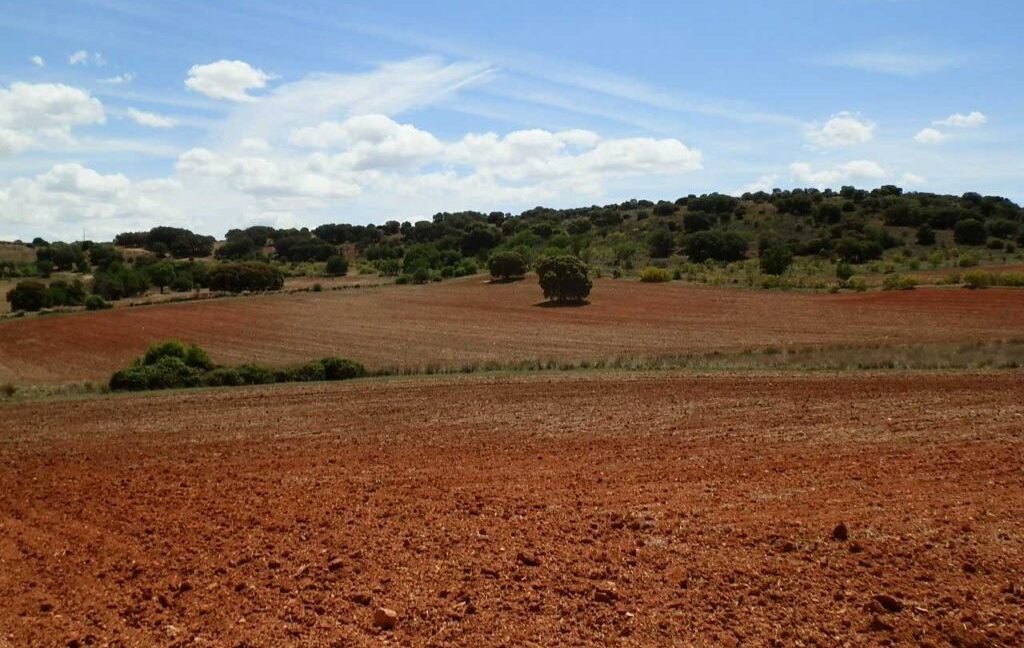 603_fincas-en-venta-052
