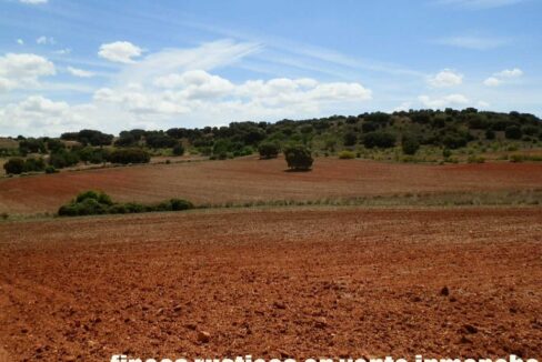 603_fincas-en-venta-052