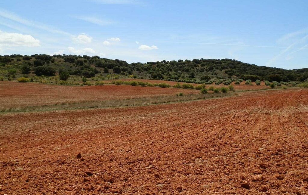 603_fincas-en-venta-053