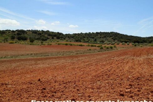 603_fincas-en-venta-053