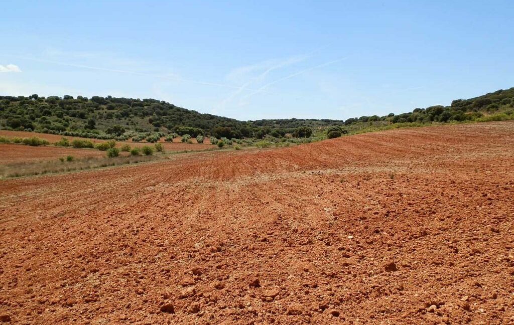 603_fincas-en-venta-054